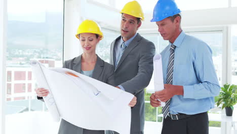 Team-of-architect-looking-at-construction-plan