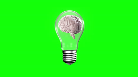 Light-bulb-with-revolving-brain
