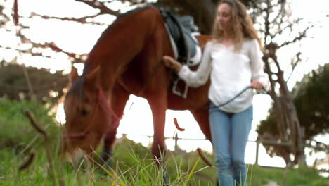 Pretty-woman-standing-next-to-Horse