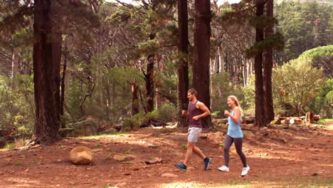 Couple-jogging-through-a-forest