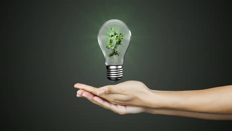Hands-presenting-light-bulb-with-earth
