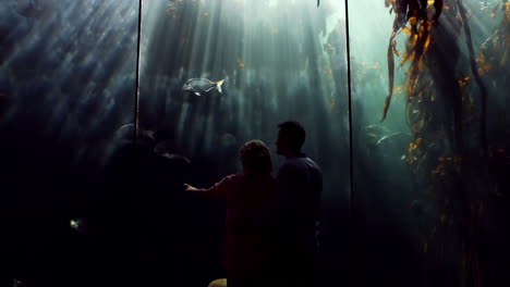 Familia-Feliz-Mirando-Peces-