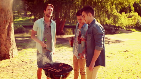 Tres-Amigos-En-El-Parque-Haciendo-Barbacoa-Y-Bebiendo-Cerveza