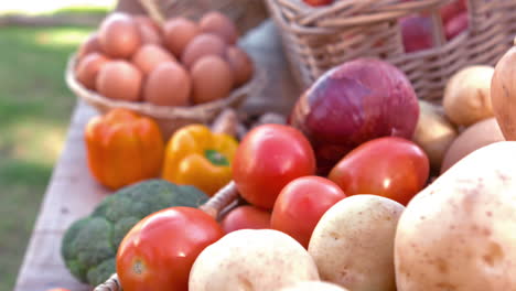 Overview-of-organic-vegetables-on-stall-in-slow-motion