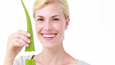 Attractive-woman-snapping-aloe-vera-leaf