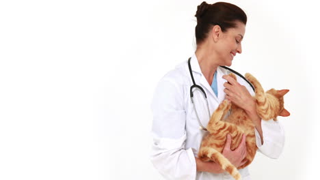 Veterinario-Sonriente-Con-Un-Lindo-Gato-En-Brazos