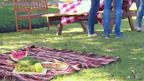 Familie-Bei-Einem-Picknick-Im-Park