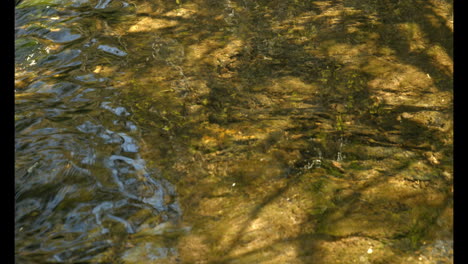 Agua-Que-Se-Mueve-Lentamente-En-La-Corriente