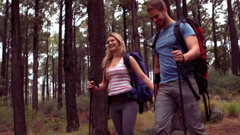 Pareja-Caminando-Por-Un-Bosque