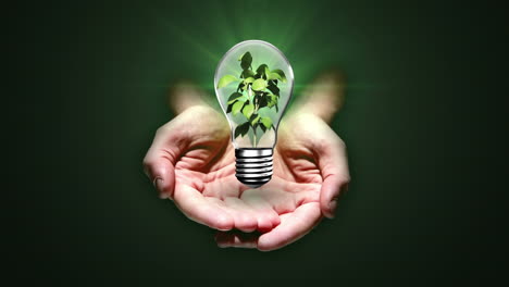 Hands-presenting-light-bulb-with-plant