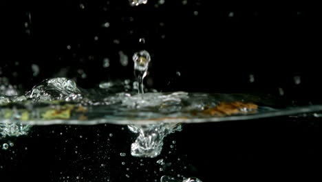 Kiwis-falling-in-water-on-black-background