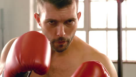 Fit-man-boxing-at-camera-in-gym