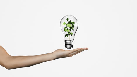Hand-presenting-light-bulb-with-growing-plant