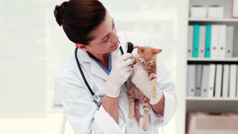 Tierarzt-Untersucht-Eine-Katze-Mit-Ihrem-Besitzer-