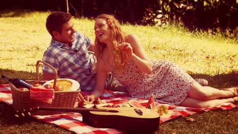 Feliz-Linda-Pareja-Durante-El-Picnic