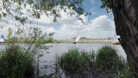 Sailing-boats-tacking-River-Waveney-leisure-sport-activity-Suffolk-broads