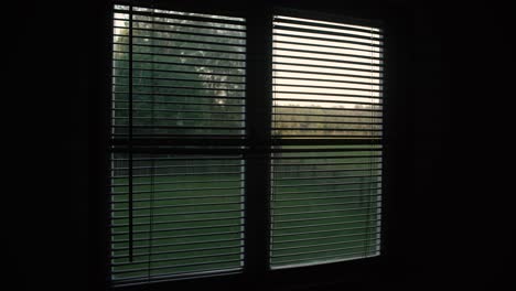 Ruhige-Aufnahme-Eines-Fensters-Mit-Jalousien-Und-Blick-Auf-Die-Naturlandschaft