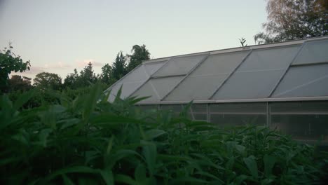 Shot-of-farmland-with-greenhouse