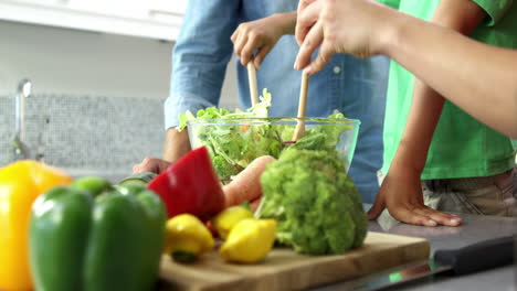 Süße-Familie-Bereitet-Einen-Salat-Zu