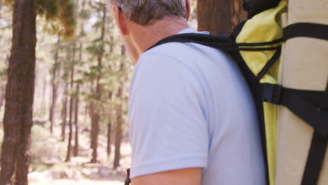 Hiker-couple-walking-through-forest