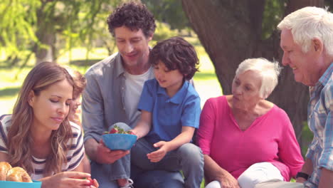 Glückliche-Familie-Bei-Einem-Picknick-Im-Park-