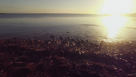 Sonnenuntergang-An-Einem-Wunderschönen-Strand