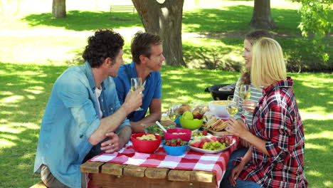 Friends-having-picnic-in-park