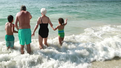 Großeltern-Mit-Enkelkindern-Im-Wasser