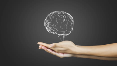 Animation-of-caucasian-woman-hands-with-human-brain-on-grey-background