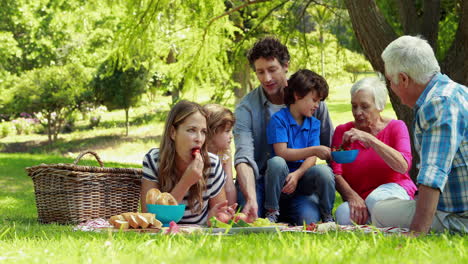 Familia-Feliz-Haciendo-Un-Picnic