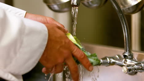 Chef-washing-broccoli