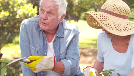 Abuelos-Haciendo-Jardinería-Con-Pala