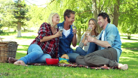Freunde-Beim-Picknick