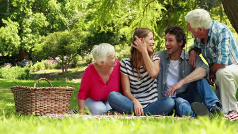 Glückliche-Familie-Auf-Einem-Picknick