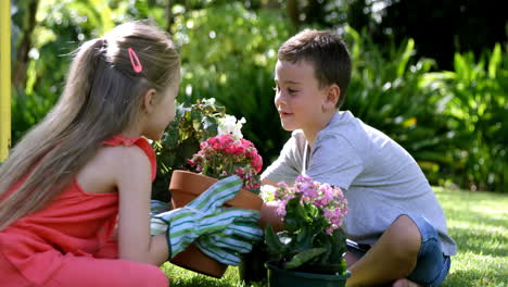 Cute-brother-and-sister-gardening