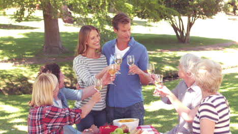 Glückliche-Familie-Beim-Picknick-Anstoßen