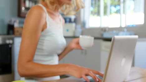 Cute-blonde-using-laptop-in-kitchen