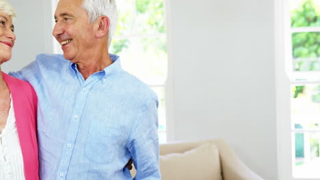 Portrait-of-grandparents-looking-each-other