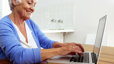 Happy-mature-woman-using-a-laptop