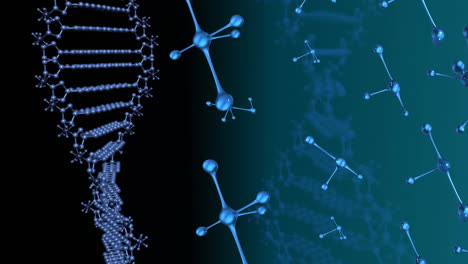 Animation-Von-Molekülstrukturen-Und-DNA-Helix,-Die-Auf-Abstraktem-Hintergrund-Rotieren