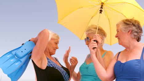 Eine-Gruppe-Reifer-Frauen-Unterhält-Sich-Unter-Einem-Regenschirm