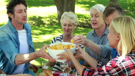 Familia-Haciendo-Un-Picnic