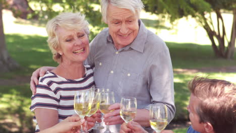 Happy-family-toasting-during-a-picnic