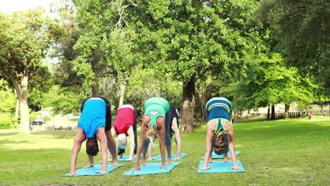 Fitness-Gruppe-Macht-Yoga-Im-Park