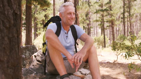 Hiker-sitting-in-forest