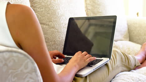 Women-typing-on-a-laptop-in-a-sofa