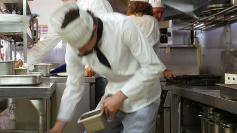 Team-of-chef-working