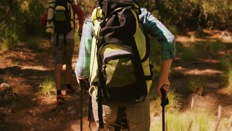 Couple-is-walking-in-the-forest