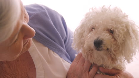 Senior-woman-petting-a-dog