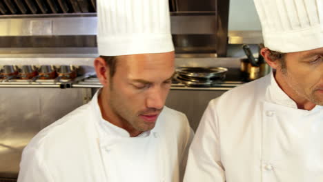 Team-of-chef-talking-together